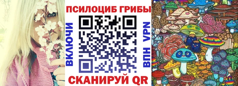 Псилоцибиновые грибы Psilocybine cubensis  где можно купить наркотик  omg как зайти  Александров 